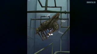 [ (Gm] ] When the world-population is on a critical low, just a bunch of INSECTS and a overenthusiastic FB can deliver the solution (Please Look At The Plot Under The Picture First) (Discuss In Dms) [u/Asplenium_Guava]