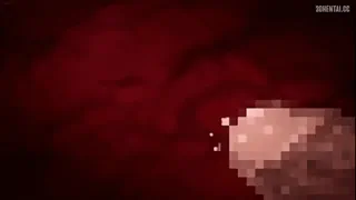 Preview at 00:06