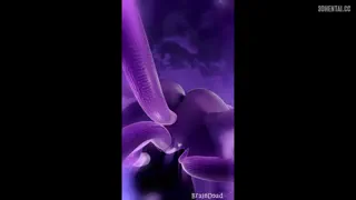 Preview at 00:31
