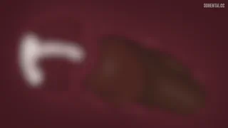 Preview at 00:50