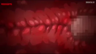 Preview at 00:19