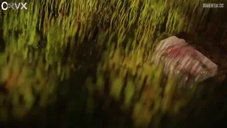 Tristana in "Please Lewd The Yordles" - Episdoe 1 - Teasers 1-5 - Tristana (Crvx) [League Of Legends] (Oc) [u/CRVX_r34]