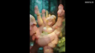 Preview at 00:14