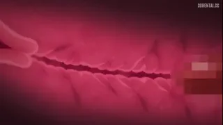 Preview at 00:49