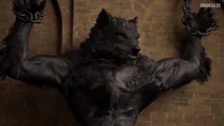 Preview at 00:01